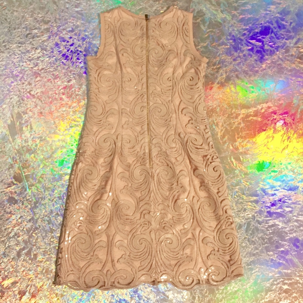 Vince Camuto Blush Lace Dress - Picture 2 of 13